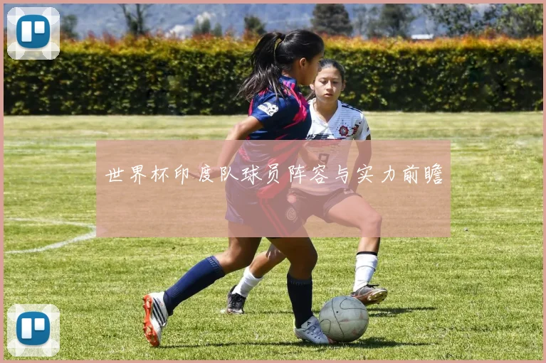 世界杯印度队球员阵容与实力前瞻