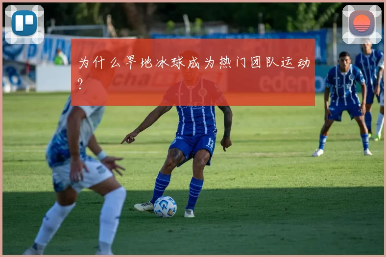为什么旱地冰球成为热门团队运动？
