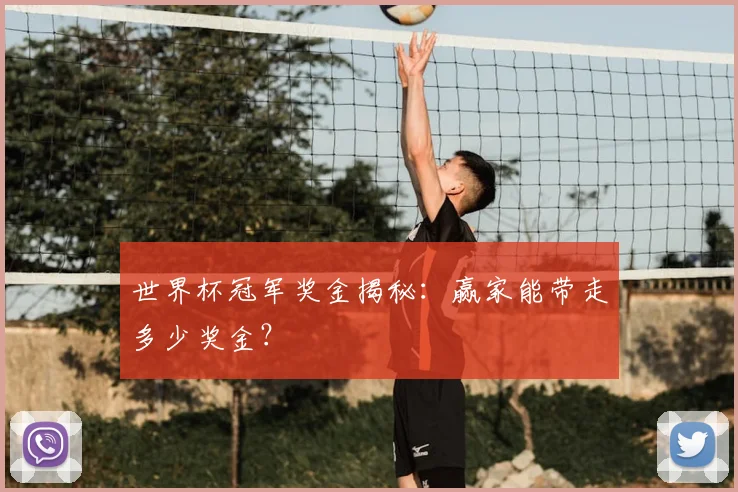 世界杯冠军奖金揭秘：赢家能带走多少奖金？