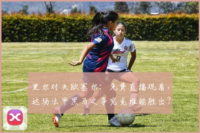 里尔对决欧塞尔：免费直播观看，这场法甲黑马之争究竟谁能胜出？